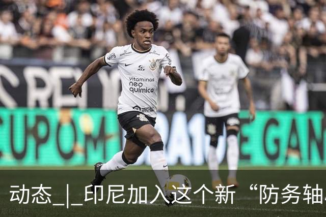 动态 | 印尼加入这个新“防务轴心”，印度深感恐慌！