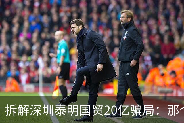 拆解深圳泰明国贸20亿骗局：那个查案的干部，被索赔1734万