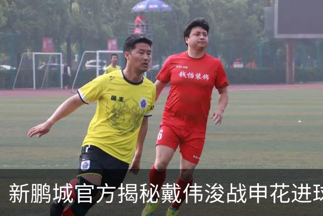 新鹏城官方揭秘戴伟浚战申花进球：早有布局，绝非即兴发挥