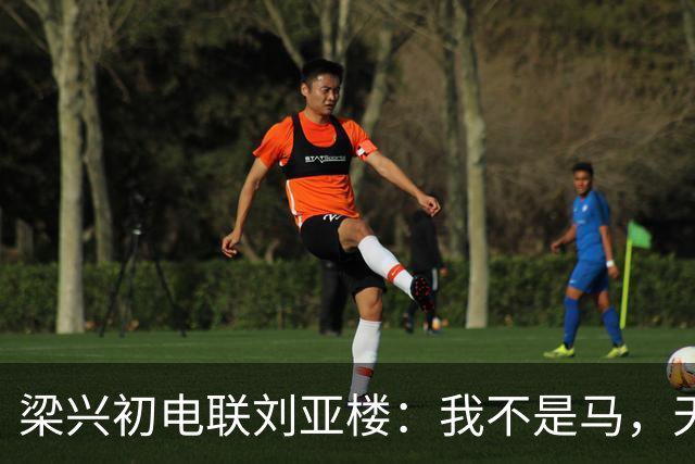 梁兴初电联刘亚楼：我不是马，天天吃豆子，刘：大胆，你骂谁？
