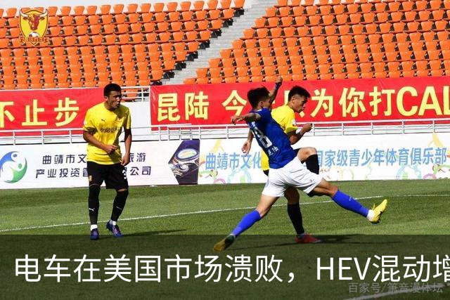 电车在美国市场溃败，HEV混动增长凶猛，丰田电车竟然卖得不错
