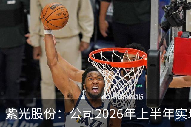 紫光股份：公司2026年上半年实现营业收入635.16亿，同比增长33.93%