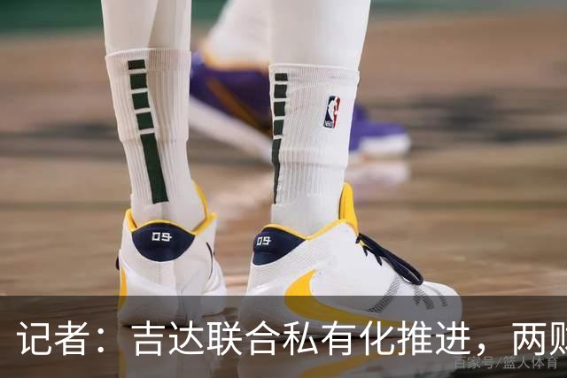 记者：吉达联合私有化推进，两财团已报价