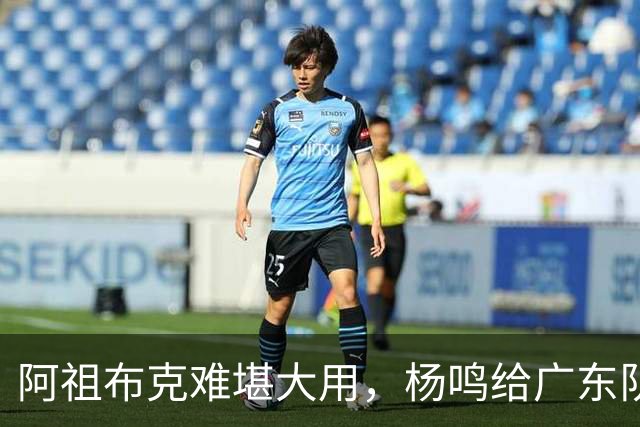 阿祖布克难堪大用，杨鸣给广东队支招，赶紧签回莫兰德，便宜好用