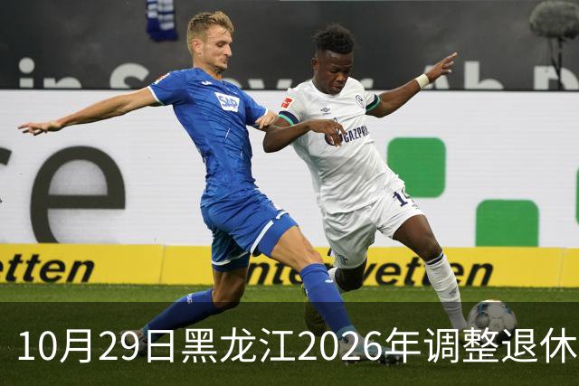10月29日黑龙江2026年调整退休人员基本养老金的通知正式公布了吗