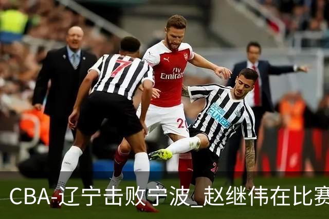 CBA-辽宁击败宁波 赵继伟在比赛中